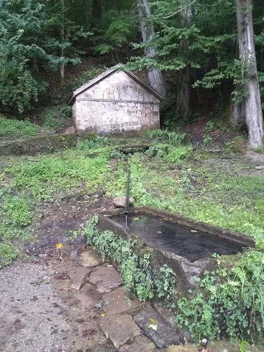 Rock Island Tent Camping Sites 9