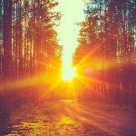 Native Roots Glamping