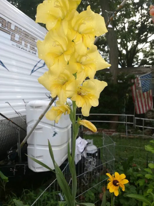 Village Hills RV & Mobile Home Community 3