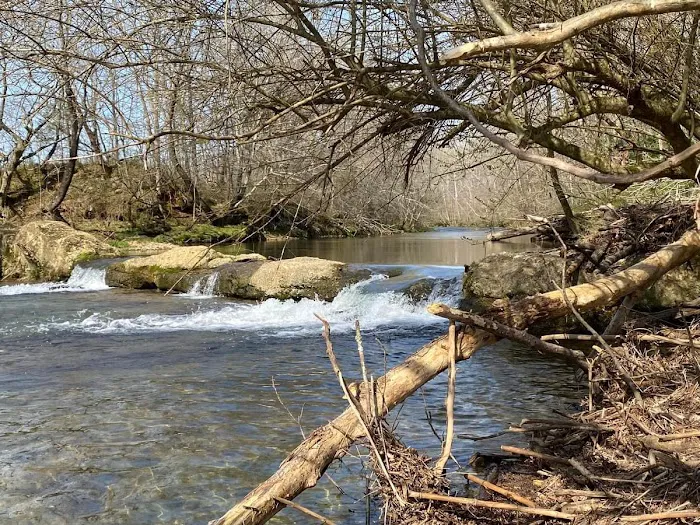 Charles Creek Campground 4