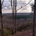 Pine Bluff RV Campground