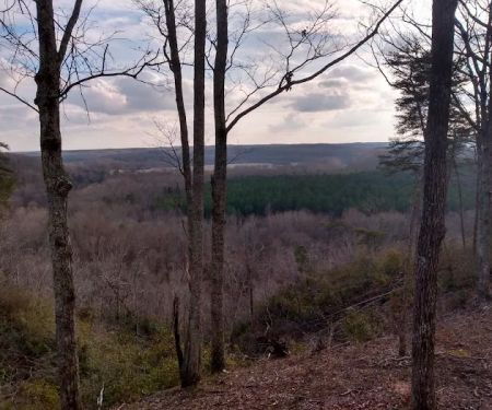 Pine Bluff RV Campground