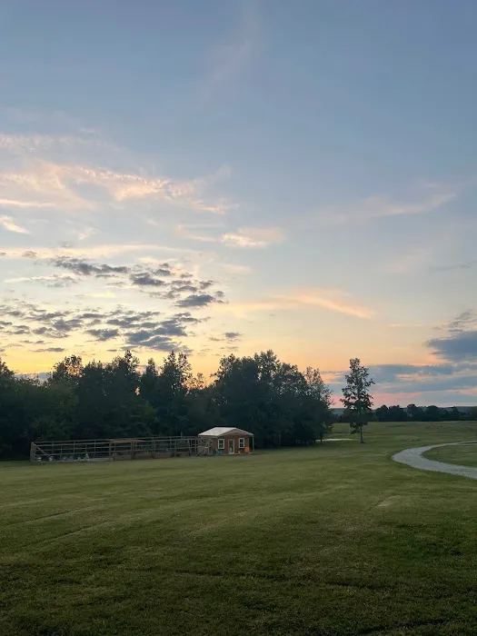 Seven Pines River Resort 8