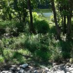 Deer Rest Campground