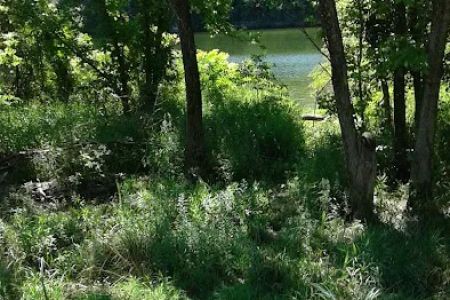 Deer Rest Campground