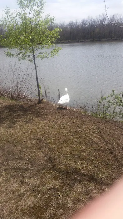 Waterfront RV Park 7