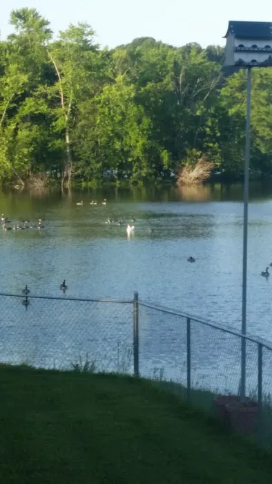 Waterfront RV Park 5