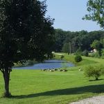 Reed's RV Park & Storage