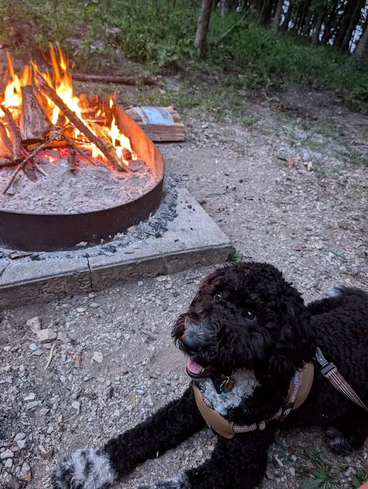 Wild Turkey Ridge Campground 5