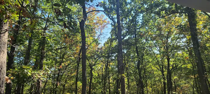 Buck Ridge Campground 5
