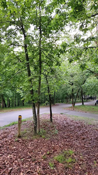 Buck Ridge Campground 4
