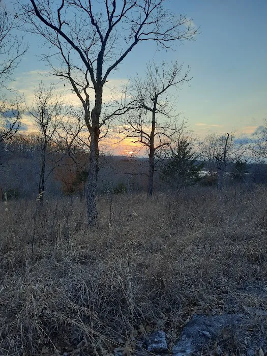 Devil's Backbone Campground 1