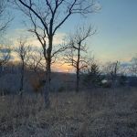 Devil's Backbone Campground