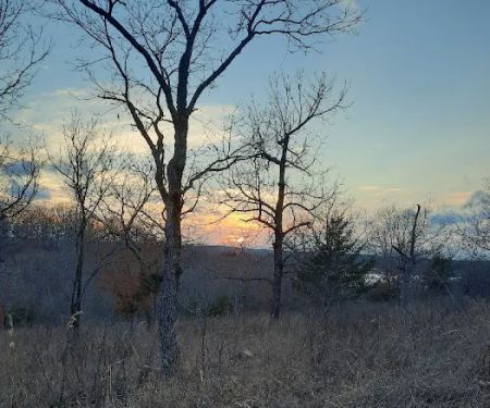 Devil's Backbone Campground
