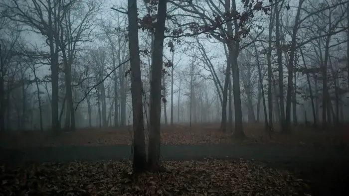 Devil's Backbone Campground 9
