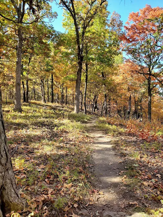 Raccoon Ridge Campground 8