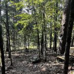 Rocky Top Campgrounds & Cabins