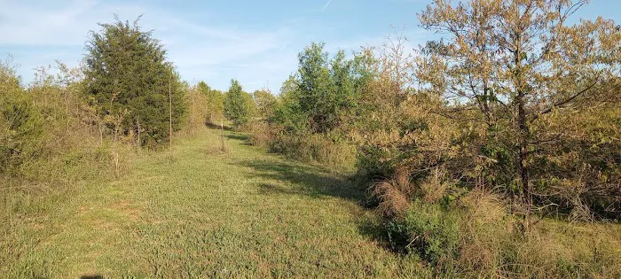 Cedar Ridge RV Park and Storage 2