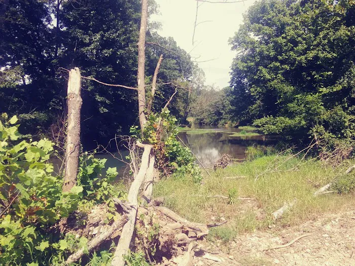 Warm Fork Conservation Area 2