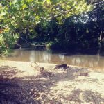 Warm Fork Conservation Area