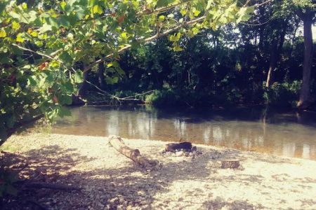 Warm Fork Conservation Area