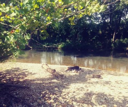 Warm Fork Conservation Area