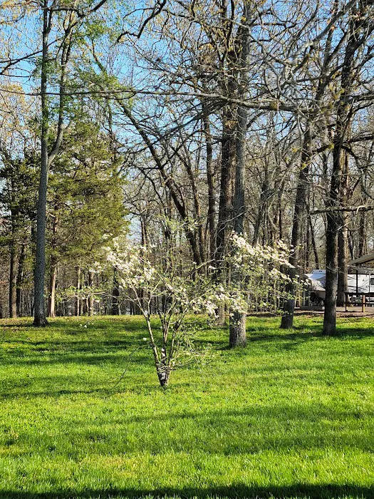 Cranfield Campground 10