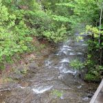 McCormack Lake Campground