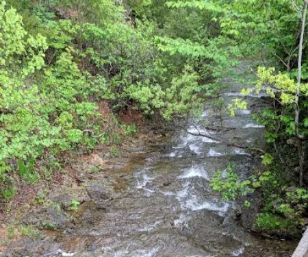 McCormack Lake Campground