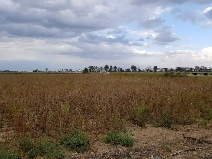 R&M RV Park 10