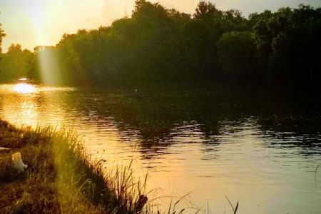 Bee Run Rv Park