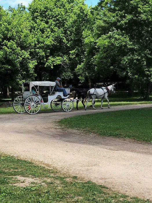 Hardy City RV Park Campground 8