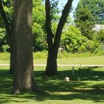 Hardy City RV Park Campground
