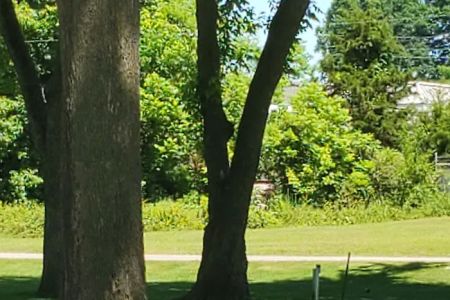 Hardy City RV Park Campground