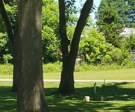 Hardy City RV Park Campground