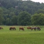 Griffin Park RV Park and Campground