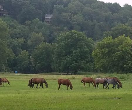 Griffin Park RV Park and Campground