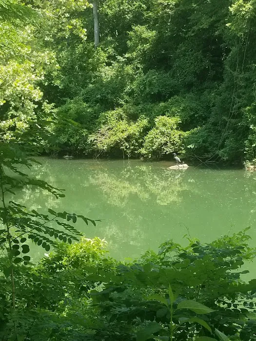 Griffin Park RV Park and Campground 9