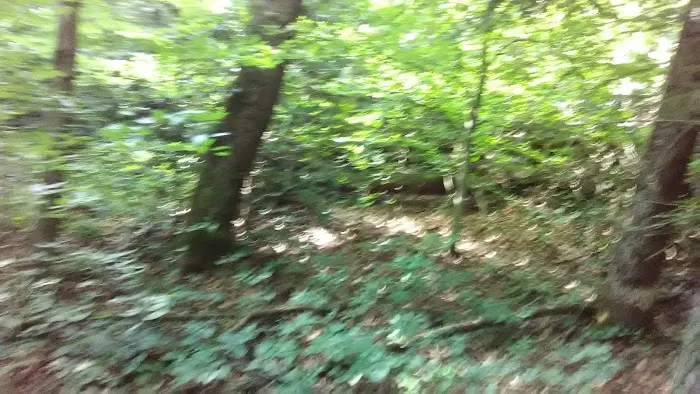 Camp Arrowhead BSA 1