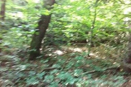 Camp Arrowhead BSA