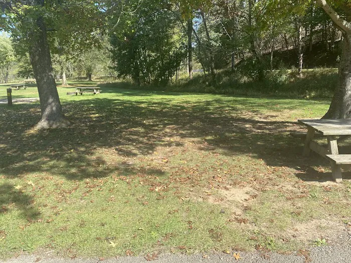 Beech Fork Campgrounds 10