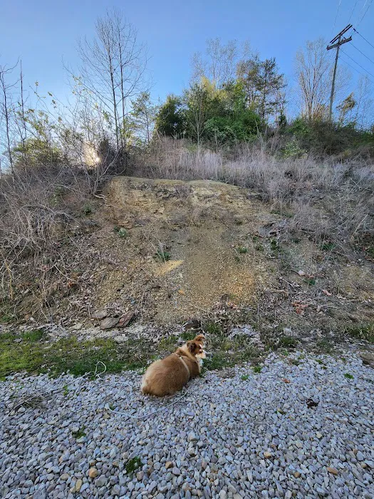Walters Properties Campground 6