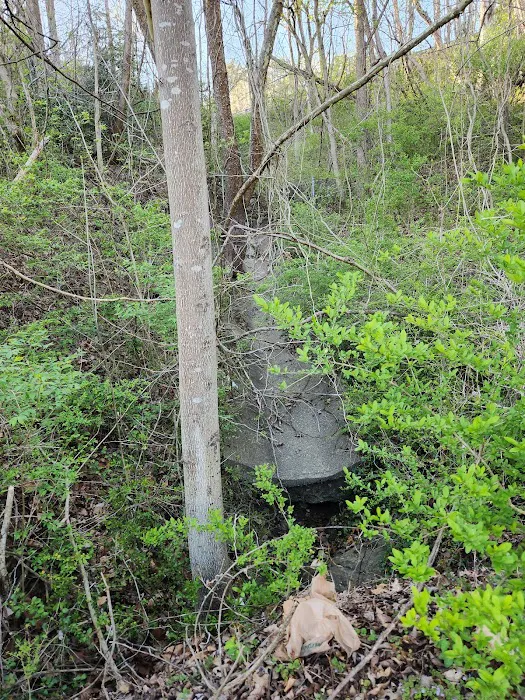 Walters Properties Campground 8