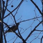 Walters Properties Campground