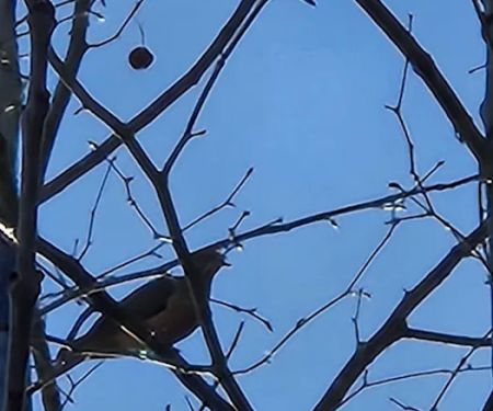 Walters Properties Campground