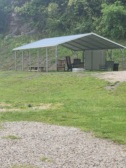 Wild Cat Camping and Fishing 2