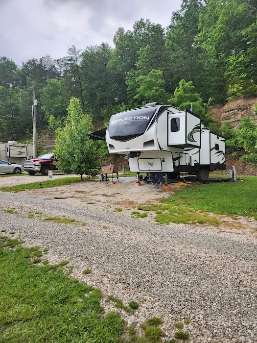 Wild Cat Camping and Fishing 1