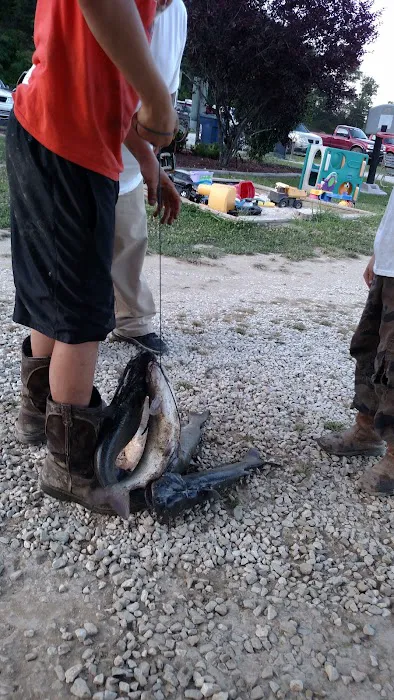 Wild Cat Camping and Fishing 9