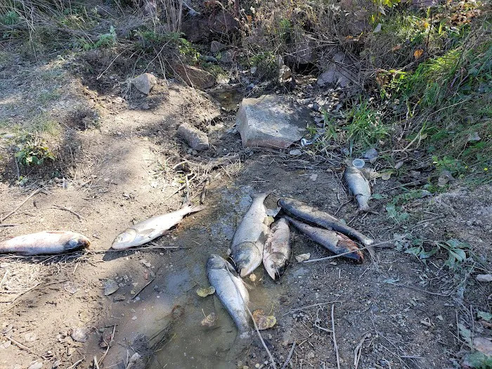Nebraska Tailwaters Campground 10