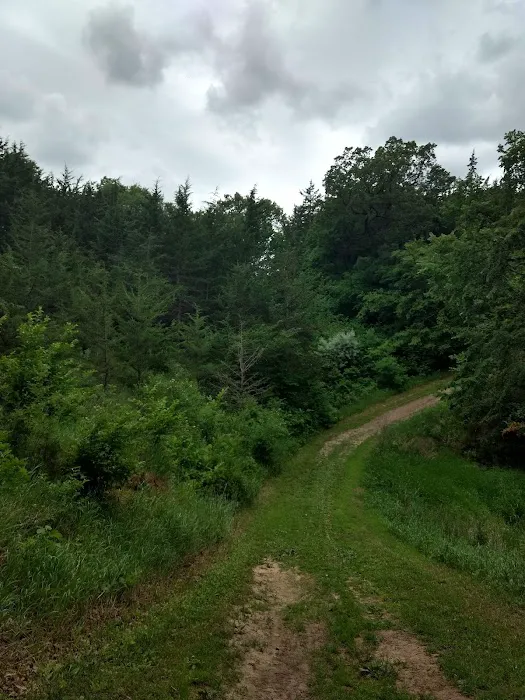 South Shore Equestrian Campground 2